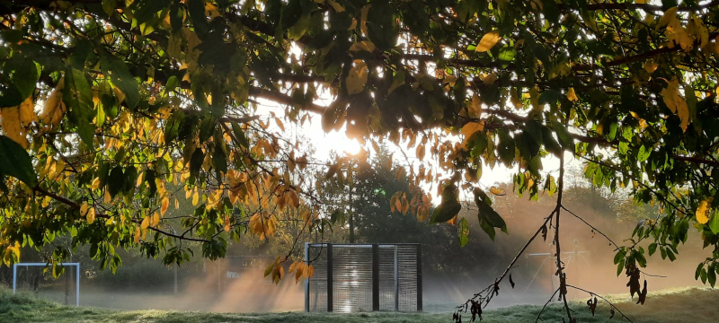 Misty Morning Radiance – Winter Sunbeams Through Frosted Trees