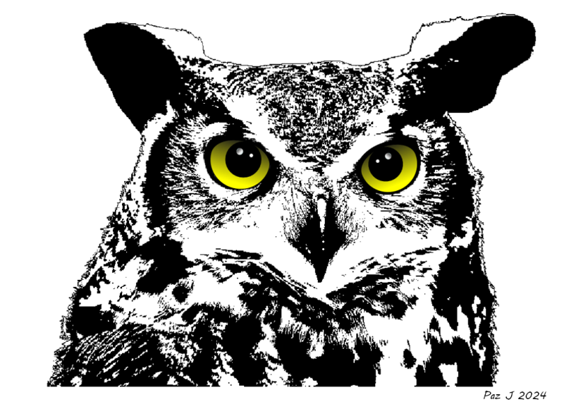Great Horned Owl Line Art / Black & White Owl Illustration