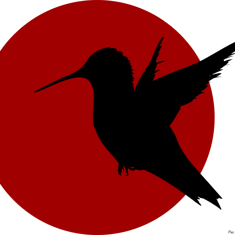 Elegant Hummingbird Shadow & Crimson Sun – Minimalist Digital Art Print