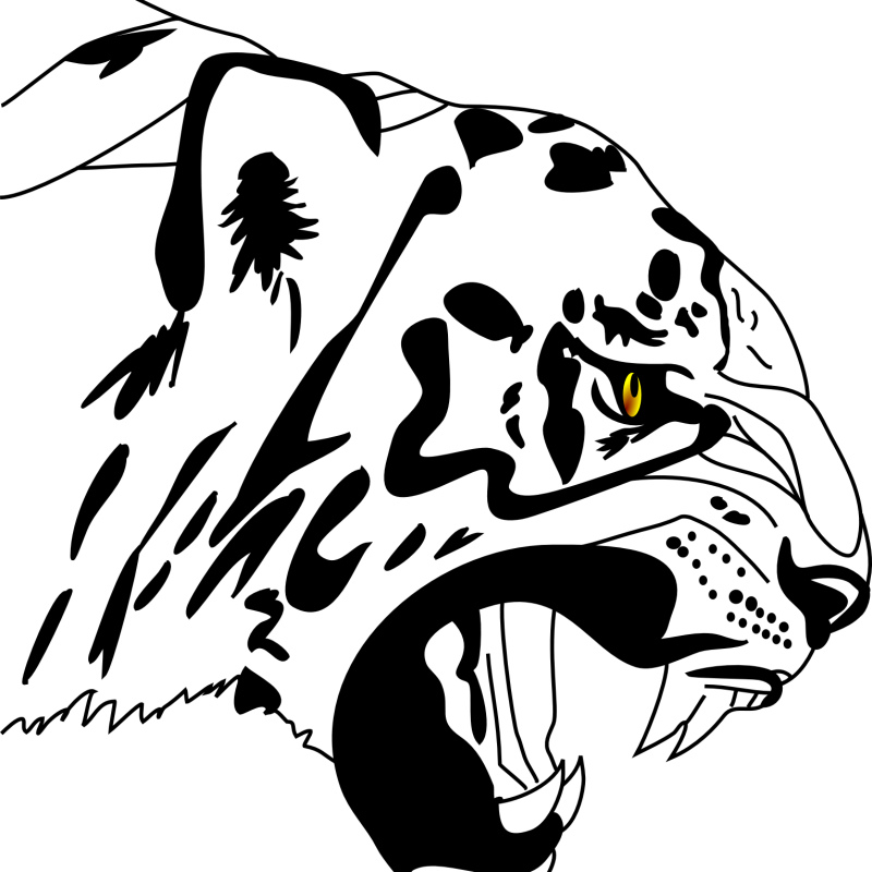 Roaring Tiger Line Art – Bold Black & White Vector Illustration