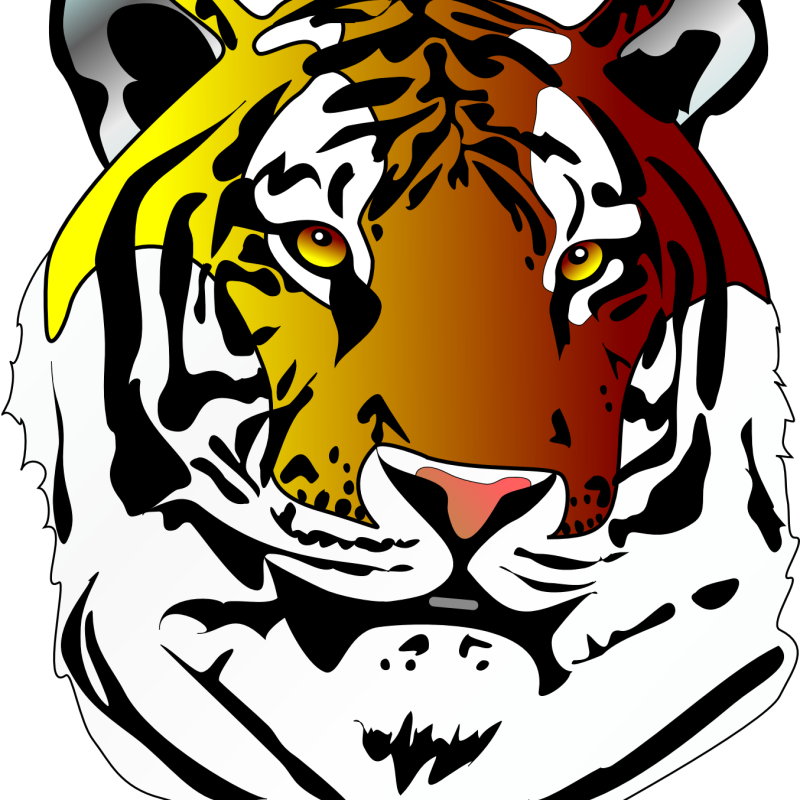 Colorful Tiger Head Vector – Pop Art Animal Illustration