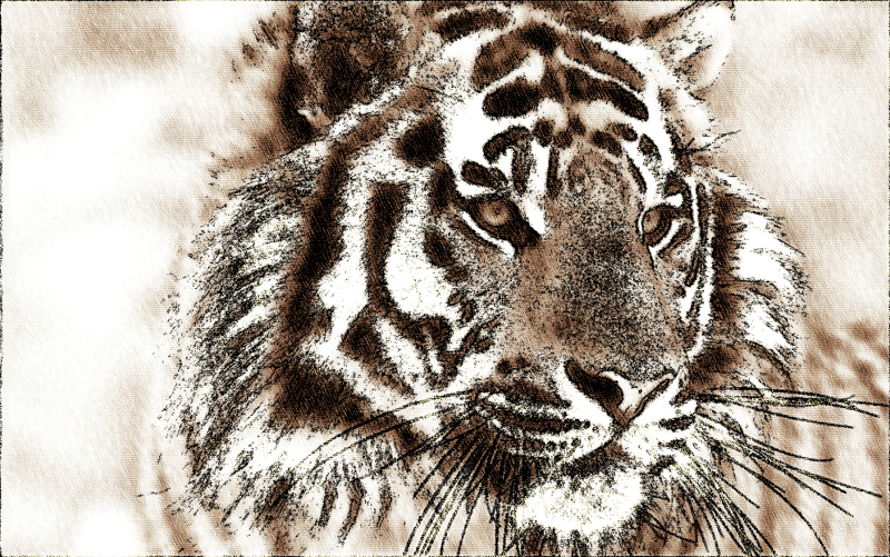 Brown Sketch Tiger Portrait – Realistic Digital Animal Art