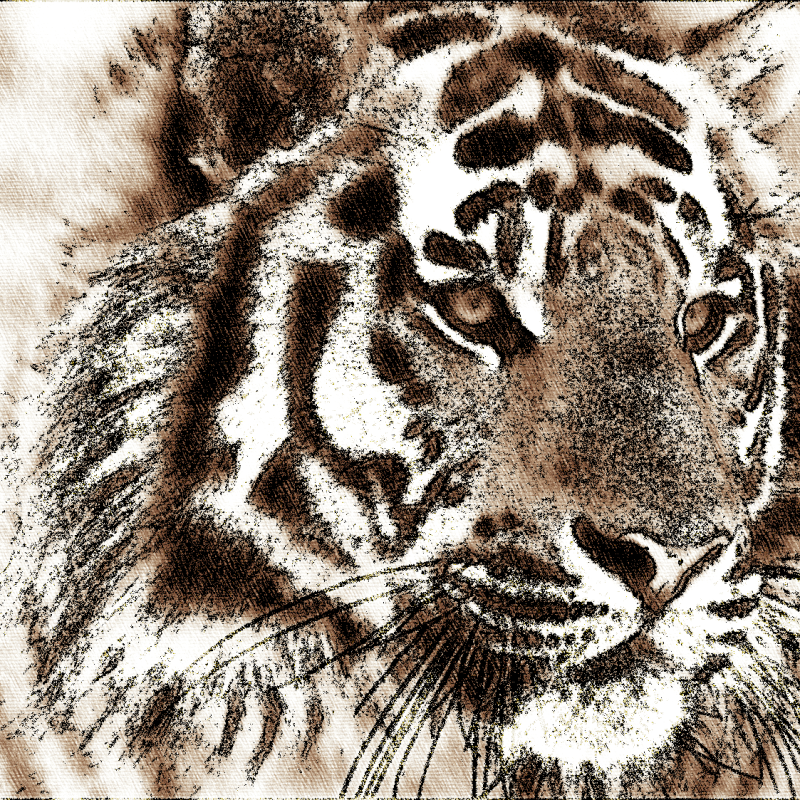 Brown Sketch Tiger Portrait – Realistic Digital Animal Art