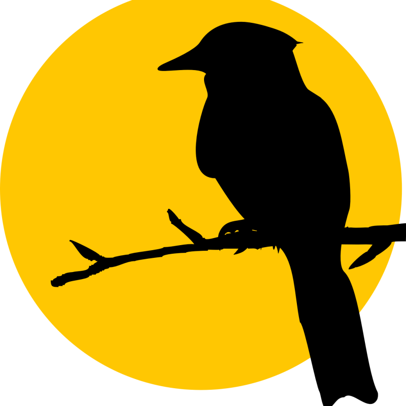 Golden Sun & Perched Bird Silhouette – Minimalist Digital Art