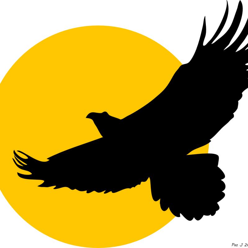 Hummingbird in Golden Light – Minimalist Digital Wall Art