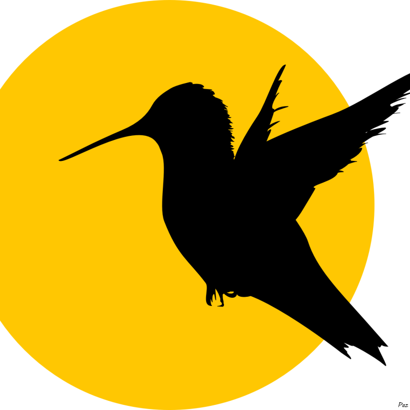 Golden Sun & Hummingbird Shadow – Minimalist Digital Wall Art